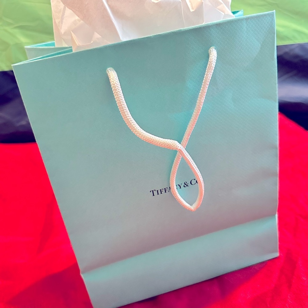 Medium size Tiffany shopping bag